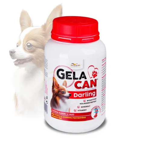 Gelacan Darling pro psy