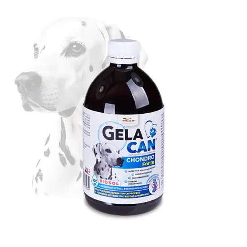 Gelacan Chondro Forte Biosol pro psy 500 ml