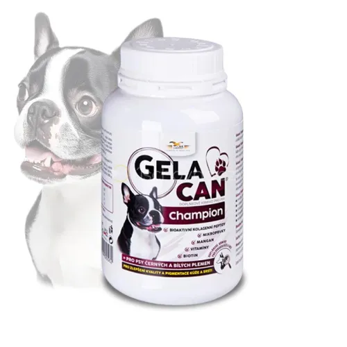 Gelacan Champion Black &amp; White