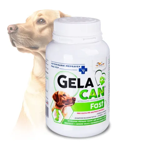 Gelacan Fast pro psy na klouby