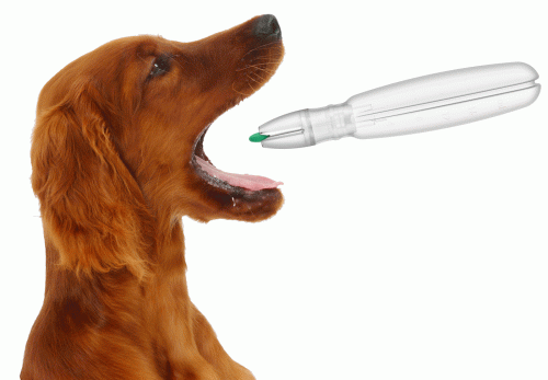Pet Pill Pen dávkovač tablet pro domácí mazlíčky pet-pill-pen-blister-dozownik-tabletek-dla-zwierzat-6285.gif