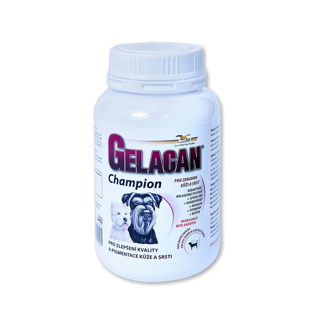 Gelacan Champion Black &amp; White