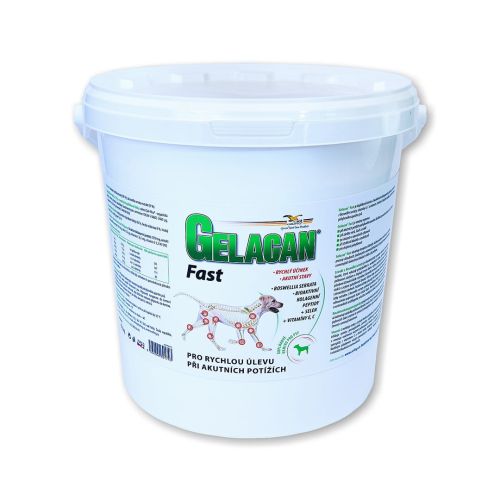 Gelacan Fast pro psy na klouby Gelacan Fast dla psów na stawy 5kg.jpg