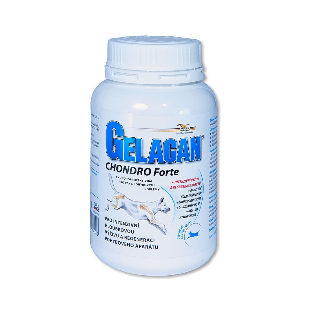 Gelacan Chondro Forte pro psy
