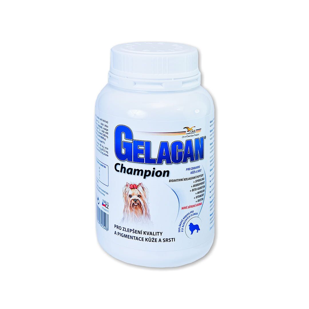 Gelacan Champion Color