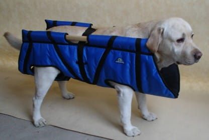 Přenášejte velké Nosze-dla-psa-4b.jpg