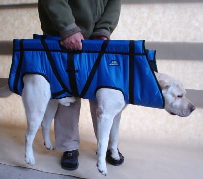 Přenášejte velké