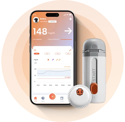 CGM System urządzenie do badania glukozy u psów i kotów pet cgm_product.png