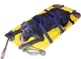Nosítka pro zvířata ( 122 cm x 60 cm ) 5 kg