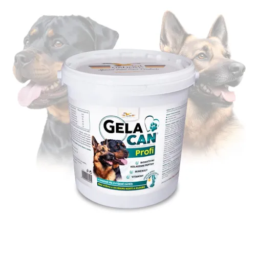 Gelacan Profi Aquamin pro psy GC-Profi-5-kg.jpg