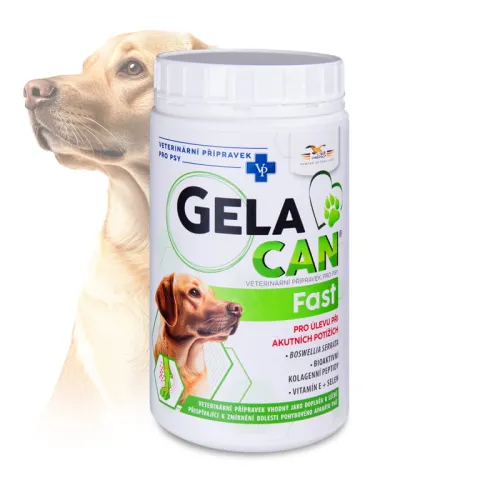 Gelacan Fast pro psy na klouby Gelacan-Fast-500-g---proszek.jpg