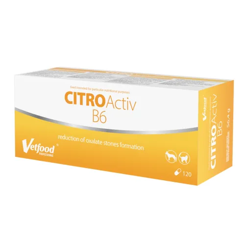CitroActiv B6 120 kapslí Vetfood