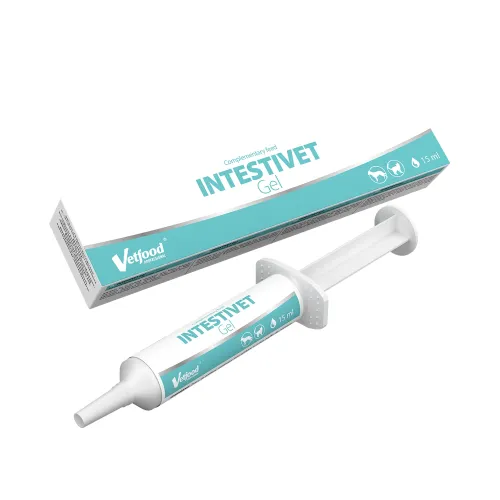 Intestivet gel 15 ml