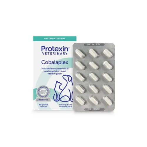 Cobalaplex probiotikum pro psy a kočky 60 kapslí.