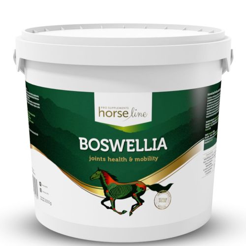 Boswellia Serrata HorseLinePRO b2kg.jpg