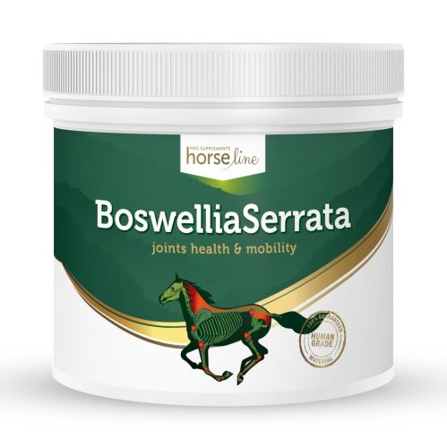 Boswellia Serrata HorseLinePRO b05kg.jpg