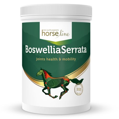 Boswellia Serrata HorseLinePRO b09kg.jpg