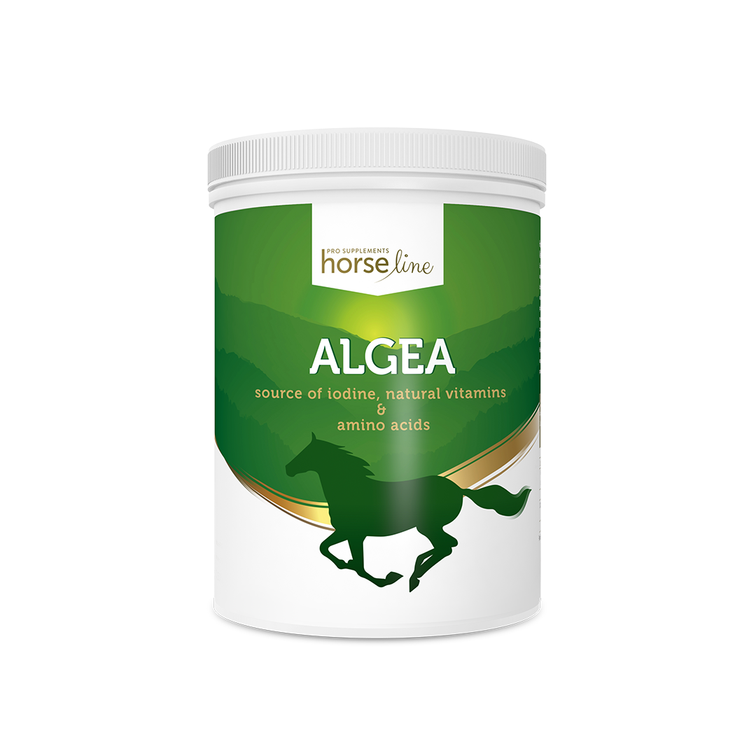 Algea 1500 g HorseLinePRO.png