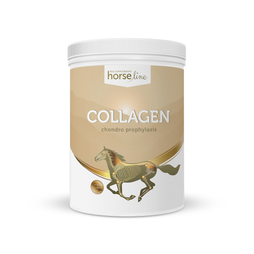 Kolagen HorseLinePRO Collagen HorseLinePRO 800g.png