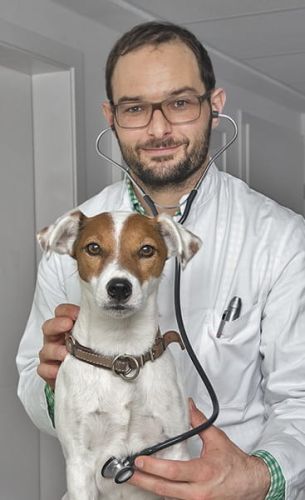 Velký stetoskop HEINE GAMMA HEINE GAMMA Stetoskop duży-3.jpg