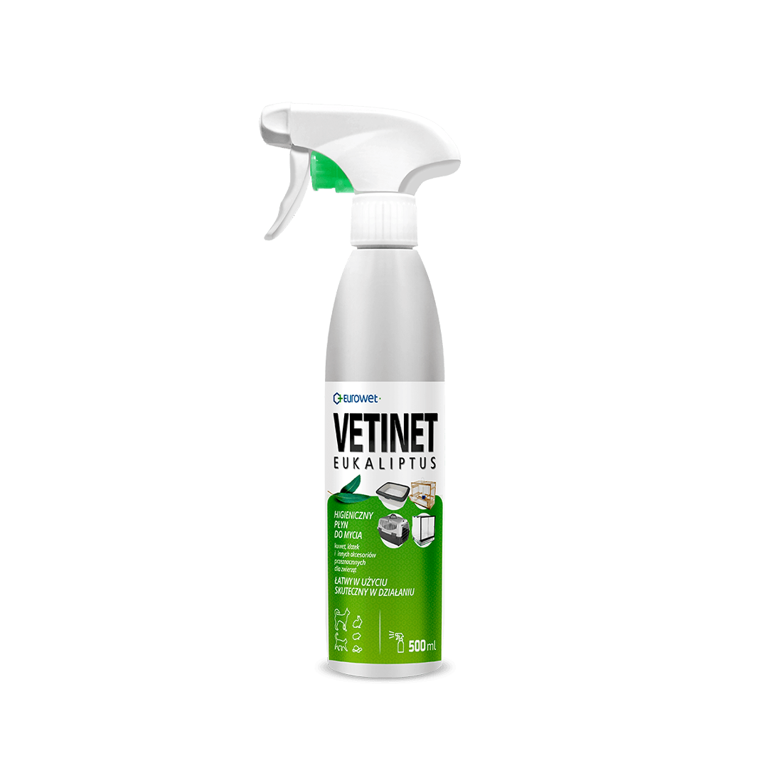 Vetinet eukalyptus na mytí klecí