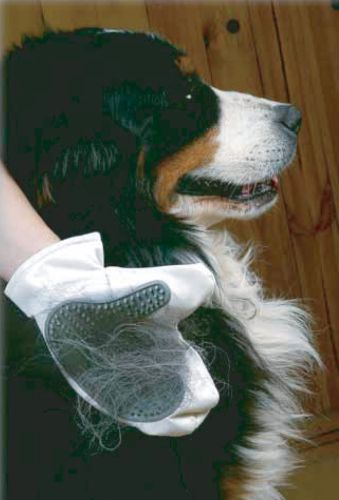 Mycí rukavice pro psy a kočky Zolux ZOLUX Rękawica do mycia-2.jpg