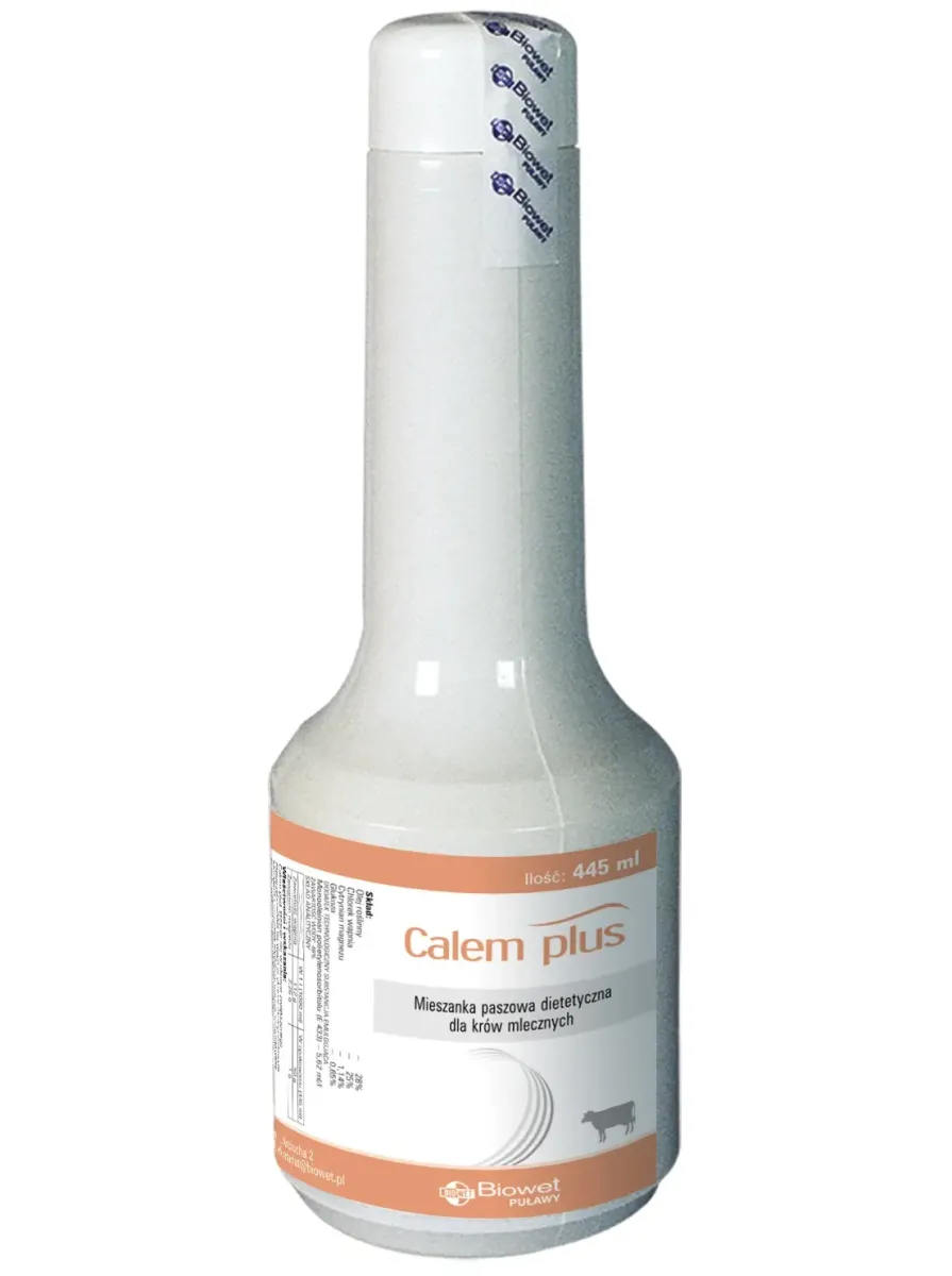 Calem Plus.webp