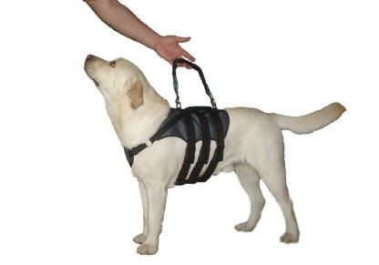 Postroj na vestu uprzaz-dysplazja-2.jpg