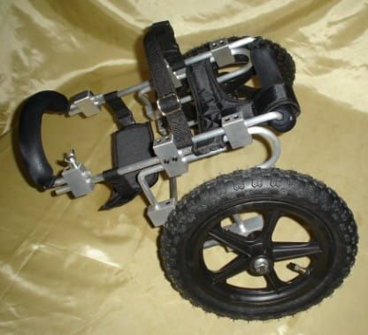 Invalidní vozík pro psy s přední parézou DSC02198.jpg