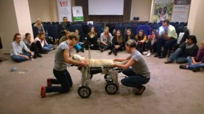 Kvadriparéza na invalidním vozíku