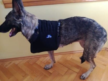 Hrudní končetinová ortéza Temblak-dla-psa-sling-for-dog-to-the-front-paws-v.jpg