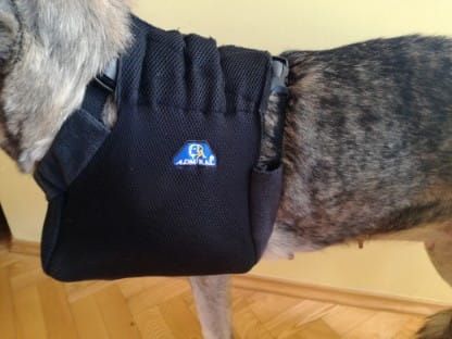 Hrudní končetinová ortéza Temblak-dla-psa-sling-for-dog-to-the-front-paws-vv.jpg