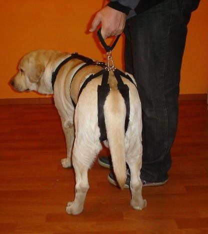 Sada postrojů standard plus szelki-standard-plus-z-szelkami-barkowymi-7_w05p2i1a.jpg