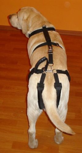 Sada postrojů standard plus szelki-standard-plus-z-szelkami-barkowymi-2_s9vp6s18.jpg