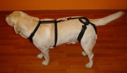 Sada postrojů standard plus szelki-standard-plus-z-szelkami-barkowymi-4_on5p1v40.jpg