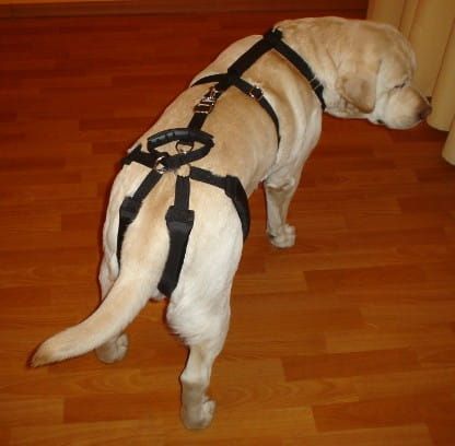 Sada postrojů standard plus szelki-standard-plus-z-szelkami-barkowymi-1_xea7m1lp.jpg