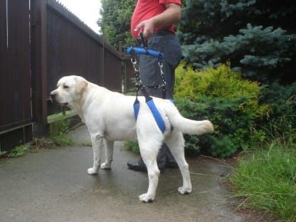 Šle na kolejnici Dsc03259.jpg