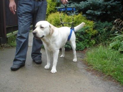 Šle na kolejnici Dsc03226.jpg