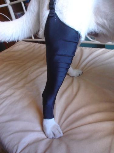 Zadní punčocha SPANDEX Dsc04858.jpg