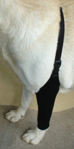 Přední punčochy SPANDEX ponczocha-dla-psa-przod-3.jpg