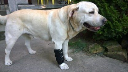 Ortéza zápěstí 2 dlahy