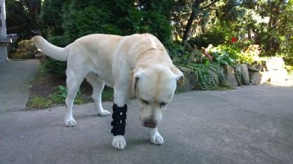 Ortéza zápěstí 2 dlahy 2_wp1e4eq3.jpg