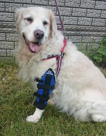 Stabilizovaná loketní ortéza