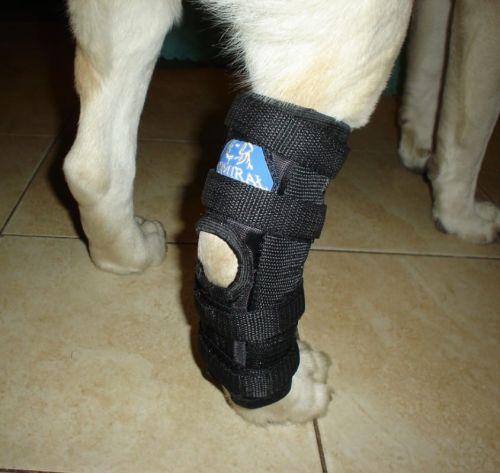 Zadní stabilizovaná ortéza kotníku 2 dlahy orteza-skokowa_4bch31cl.jpg