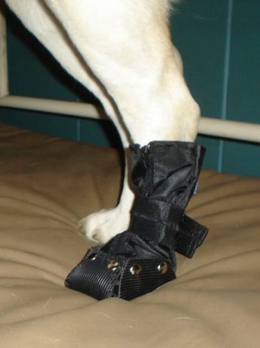 Ochranná bota na zip but-dla-psa-na-gumie-2.jpg