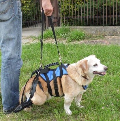 Ochranná bota uprzaz-z-butami-b.jpg