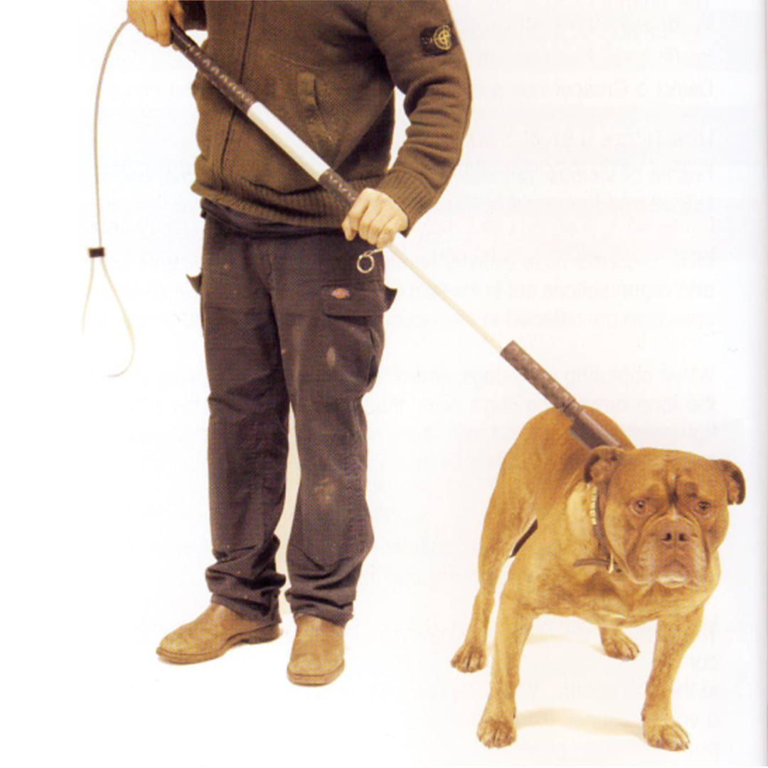 Grabber pro silné a agresivní psy 150 cm dlouhý