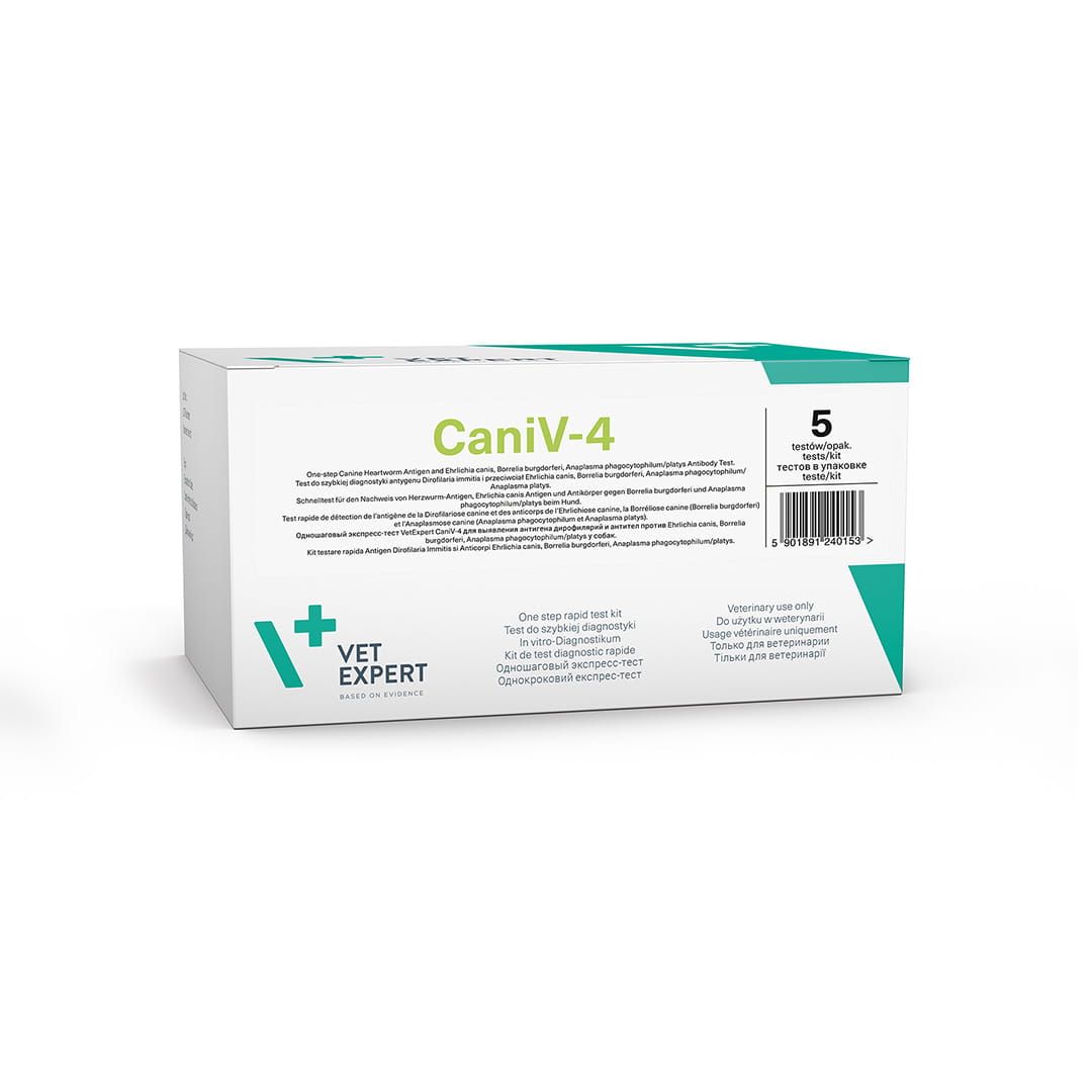 CaniV-4.jpg