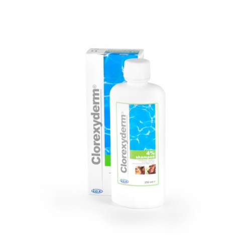 Clorexyderm šampon 4% 250 ml Geulincx Clorexyderm Shampoo 4% 250 ml Geulincx.png