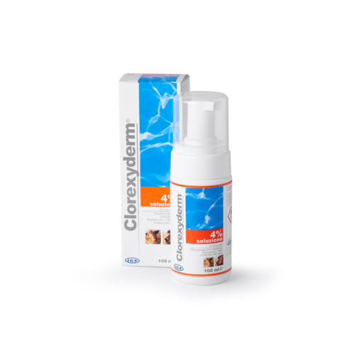 Clorexyderm Foam 4% 100 ml Geulincx Clorexyderm Foam 4% 100 ml Geulincx.png